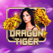Dragon Tiger winplus